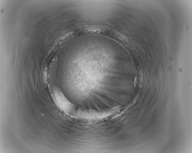 X0000087551394200705112109