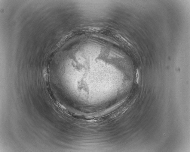 X0000087551395200705112110