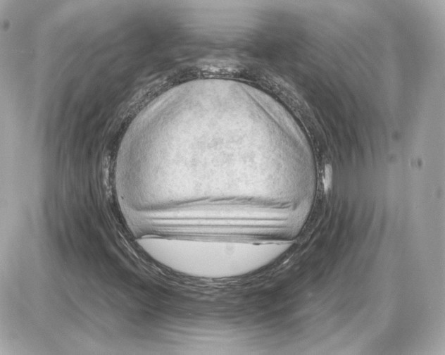 X0000087551396200705112110