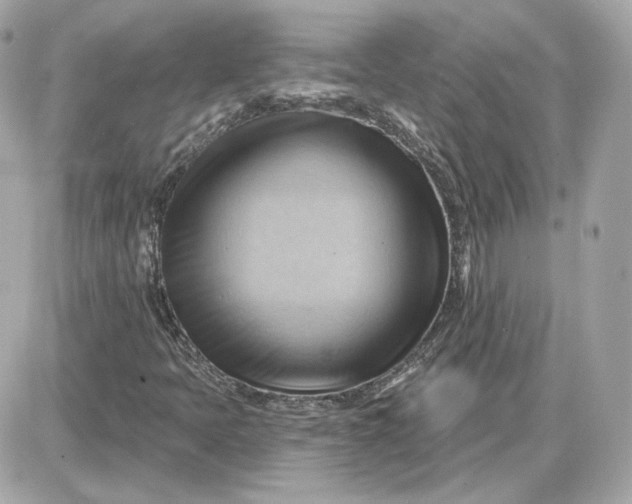 X0000087551397200705112110