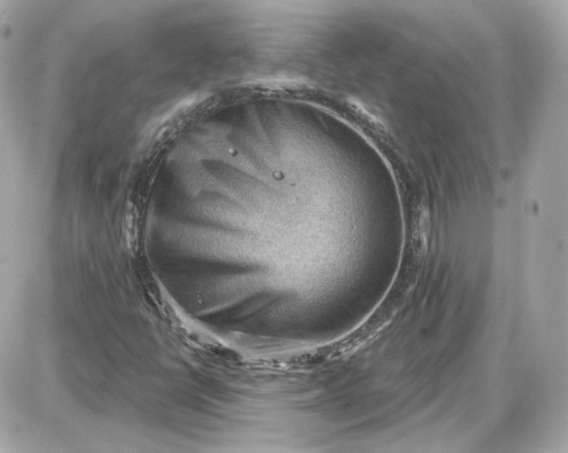 X0000087551398200705112110