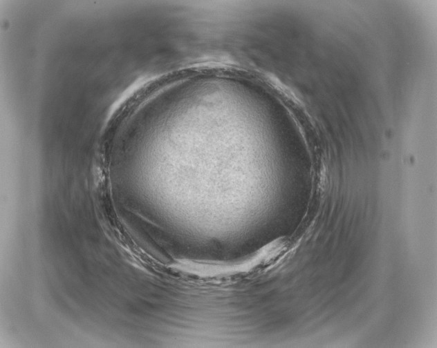 X0000087551400200705112110