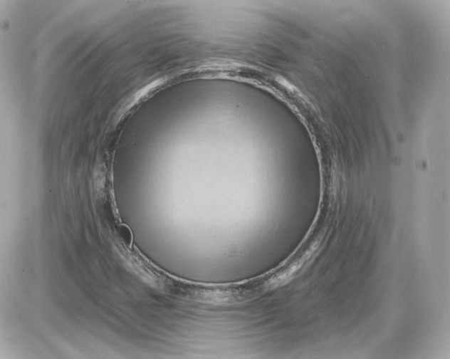 X0000087551401200705112110