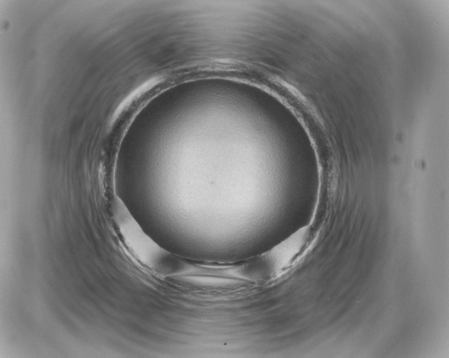 X0000087551402200705112110