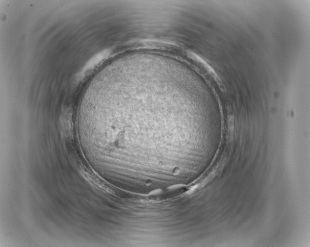 X0000087551403200705112110