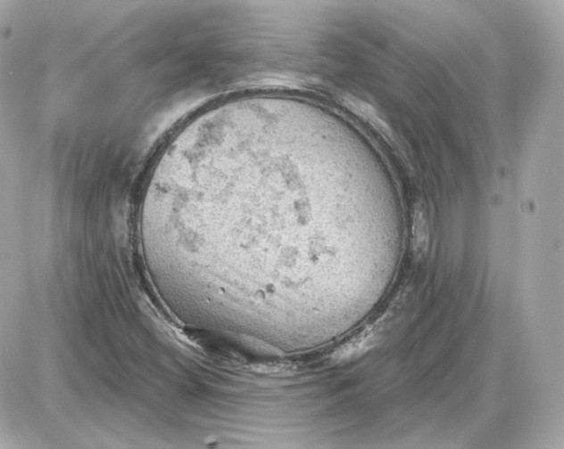 X0000087551404200705112110