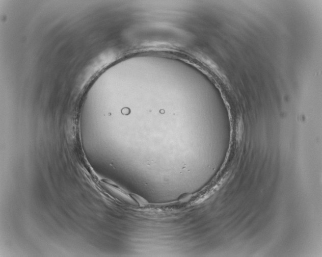 X0000087551405200705112110