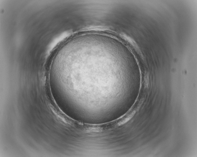 X0000087551406200705112110