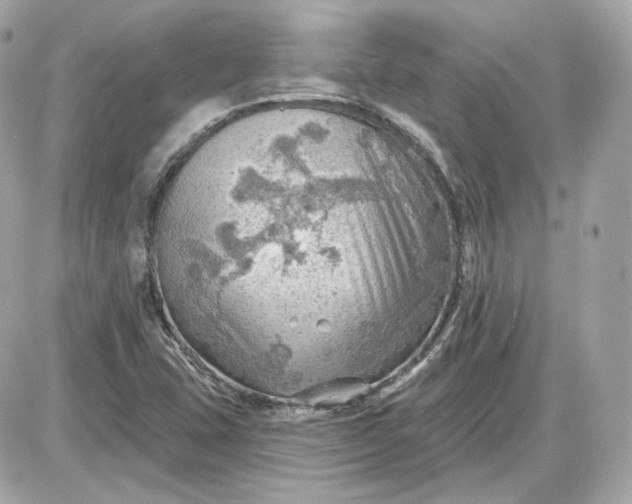 X0000087551407200705112110