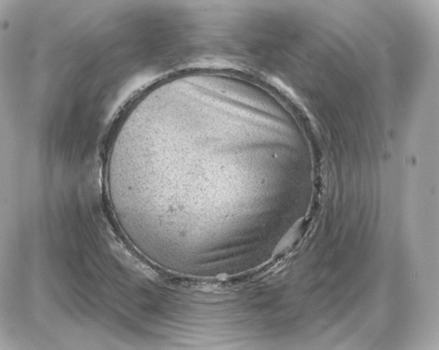 X0000087551408200705112110