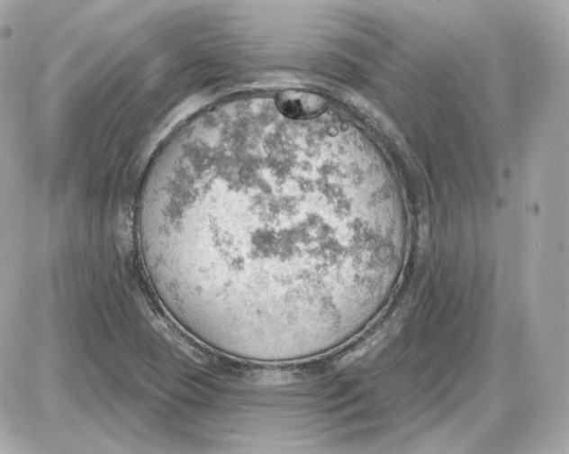 X0000087551409200705112110