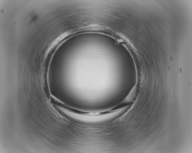 X0000087551410200705112110