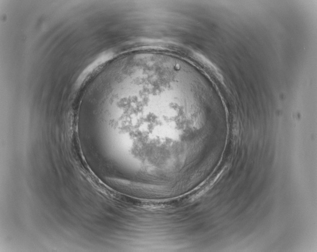 X0000087551411200705112110