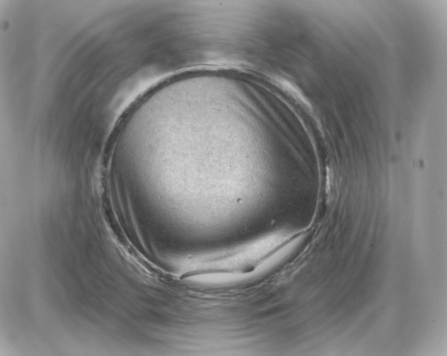 X0000087551412200705112110