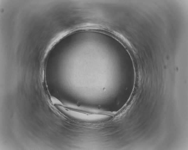 X0000087551413200705112110