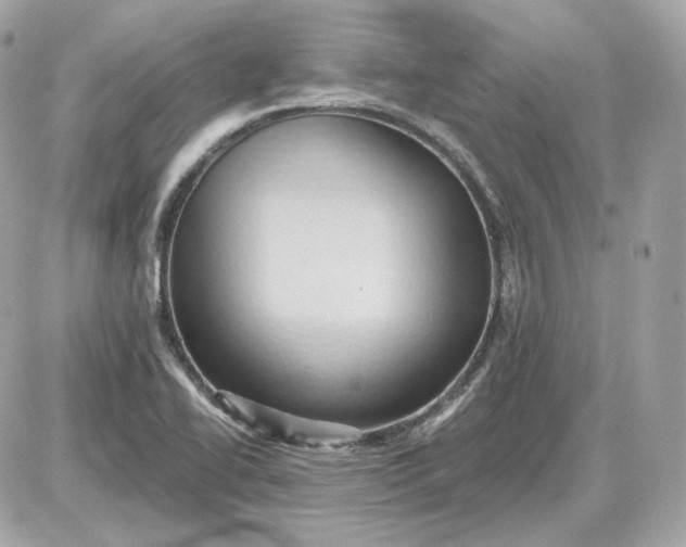 X0000087551414200705112110