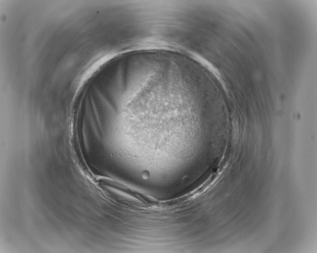 X0000087551415200705112110