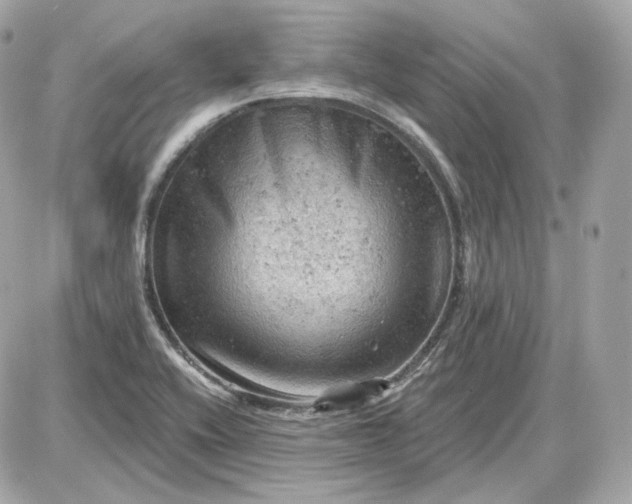 X0000087551416200705112110