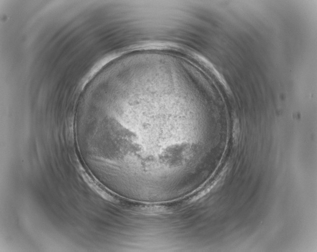 X0000087551417200705112110