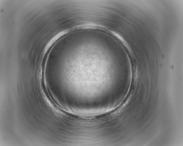 X0000087551418200705112110