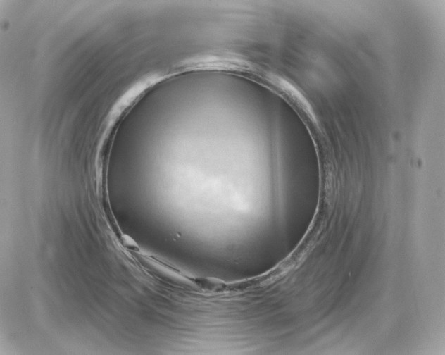 X0000087551419200705112110