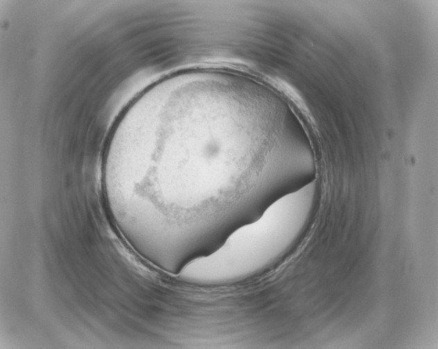 X0000087551420200705112110