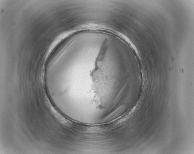 X0000087551421200705112110