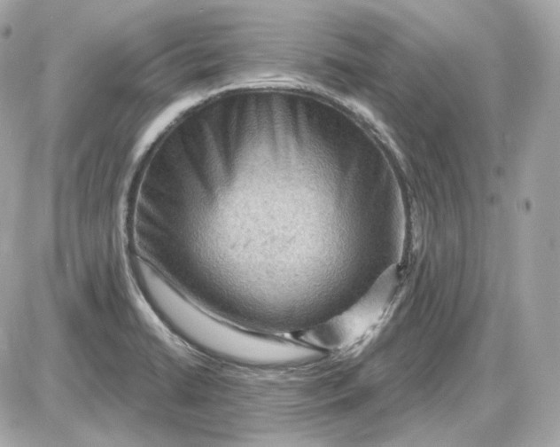 X0000087551422200705112110