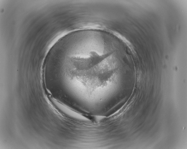 X0000087551423200705112110