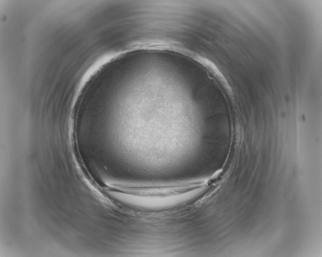 X0000087551424200705112110