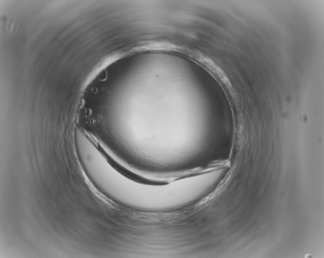 X0000087551425200705112110