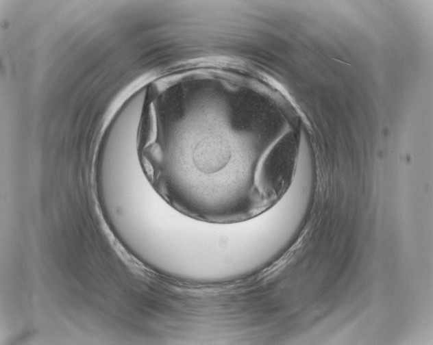 X0000087551426200705112110