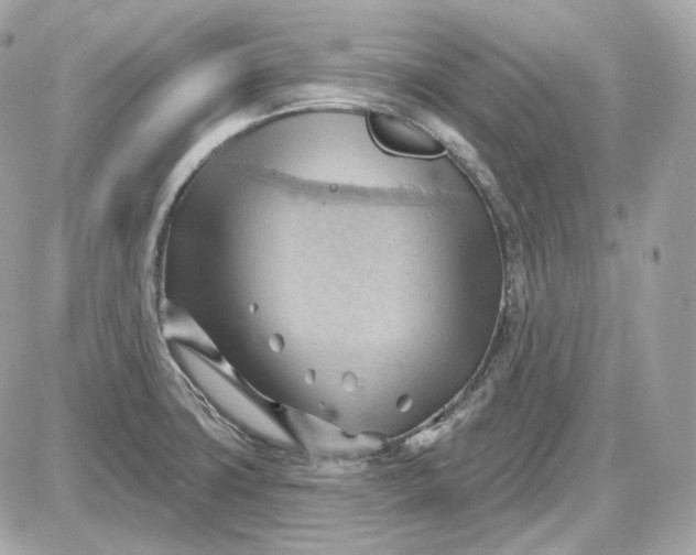 X0000087551427200705112110