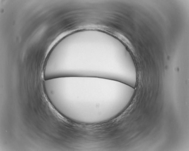 X0000087551428200705112110