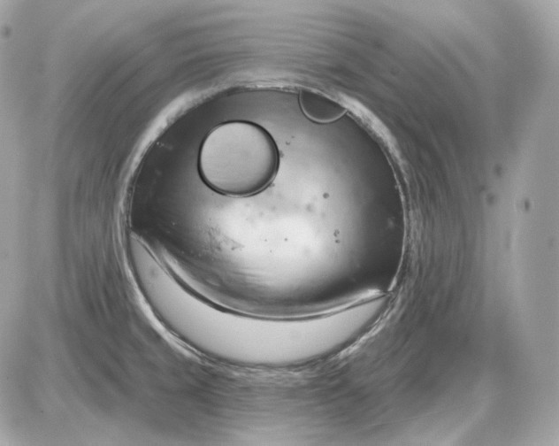 X0000087551429200705112110