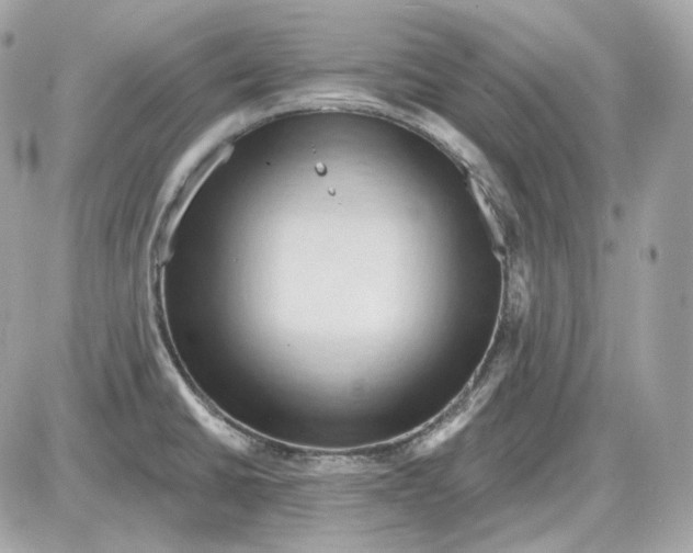 X0000087551430200705112110