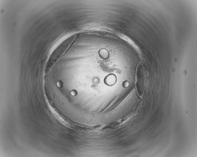 X0000087551431200705112110