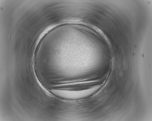 X0000087551432200705112110