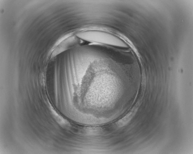 X0000087551433200705112110