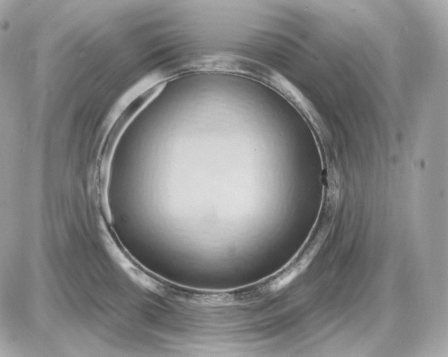 X0000087551434200705112110