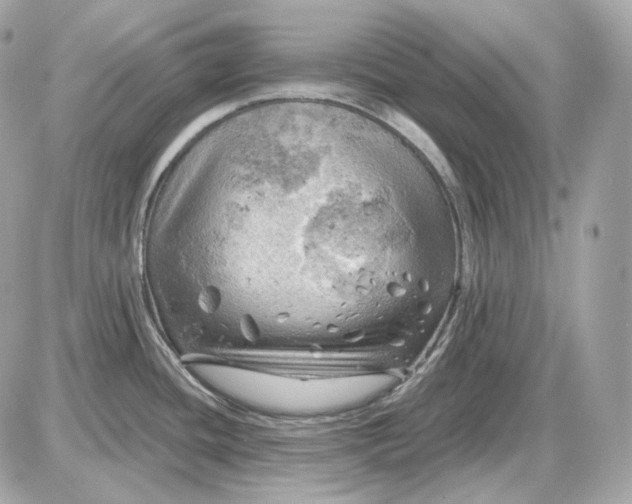 X0000087551436200705112110