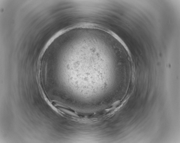 X0000087551437200705112110