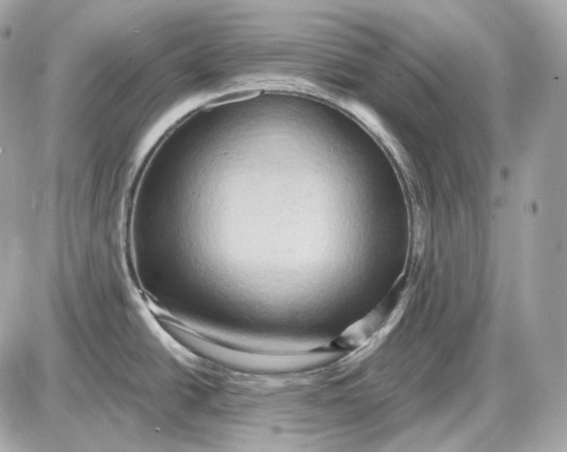 X0000087551438200705112110