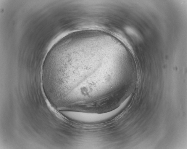 X0000087551439200705112110