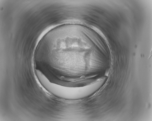 X0000087551440200705112110