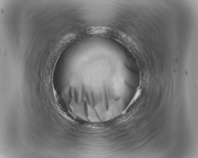 X0000087551441200705112109