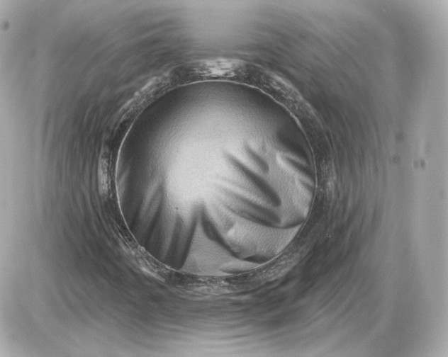 X0000087551442200705112109