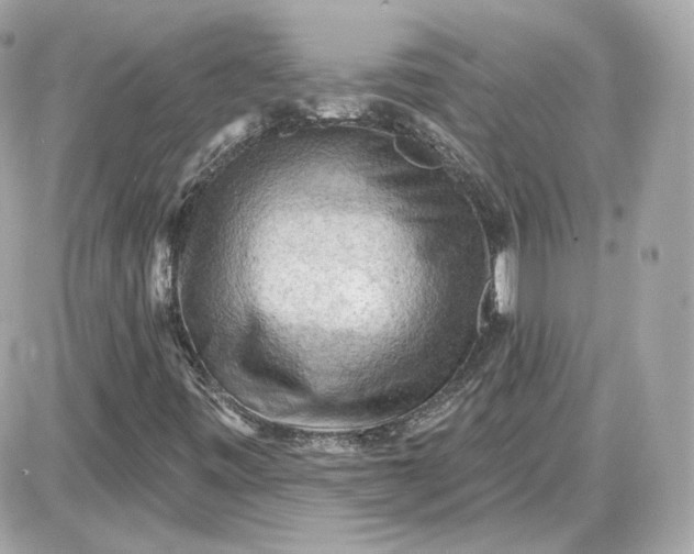 X0000087551443200705112109