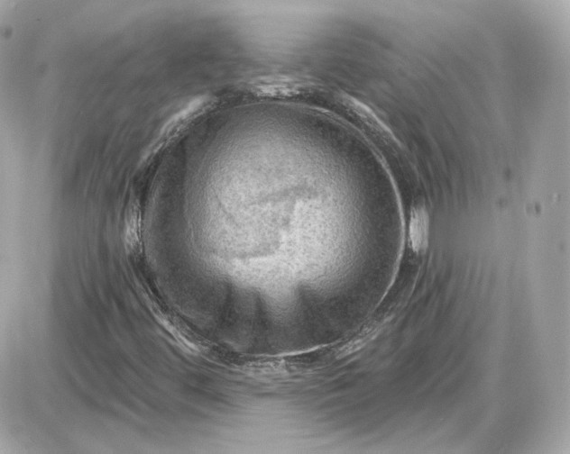 X0000087551444200705112109