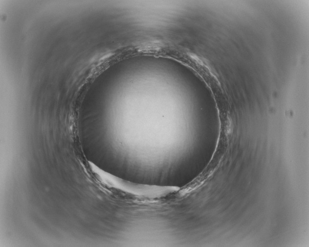 X0000087551445200705112109